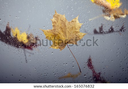 View of falling autumn leaves through the window with rain drops.