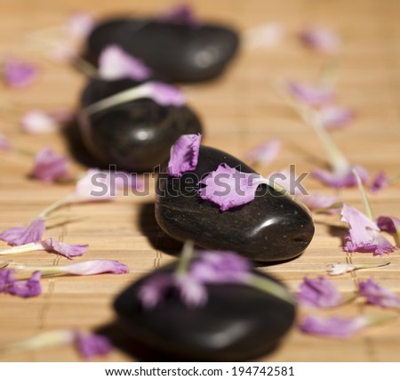 Background of a spa with row of stones and pink leaves on a wooden background. Selective focus.