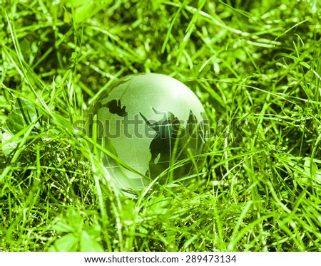World environmental concept. Crystal globe in green grass. Visible are the continents the Americas.