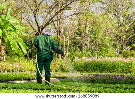 old man watering plants in garden with soft-light from sun