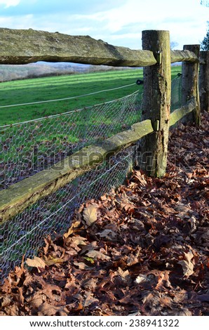 Rabbit netting on wood fence.