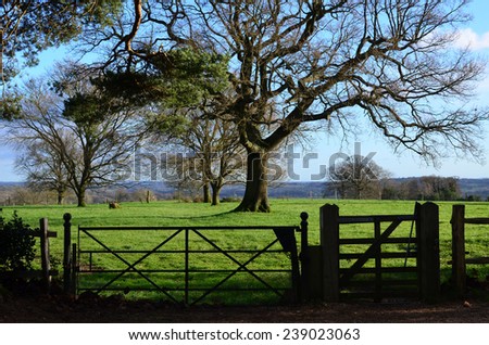 Public right of way gates in the Sussex countryside.