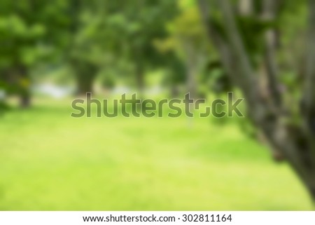 abstract photo of light burst among trees flower and glitter bokeh lights. image is blurred and filtered