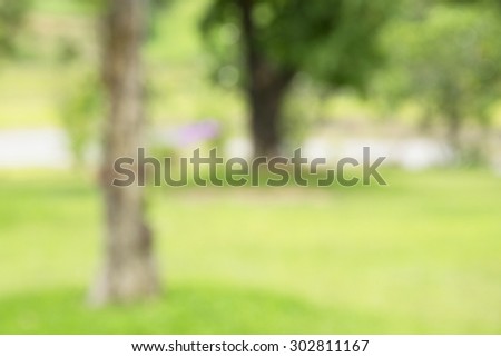 abstract photo of light burst among trees flower and glitter bokeh lights. image is blurred and filtered