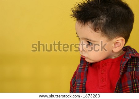 Three year old boy in flannel shirt on yellow background.  Headshot, profile.