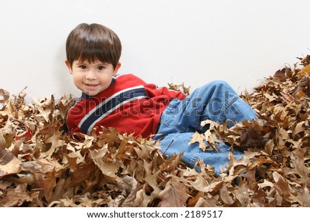 Toddler by sitting in pile of leaves.