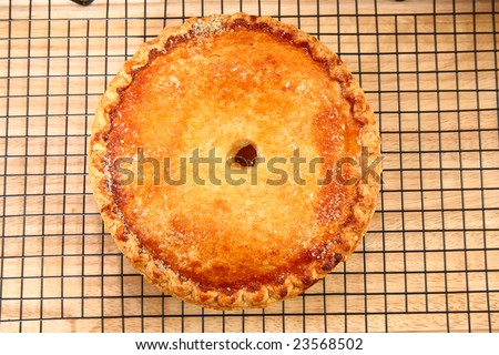 Close-up of a delicious golden brown peach pie sprinkled with sugar.