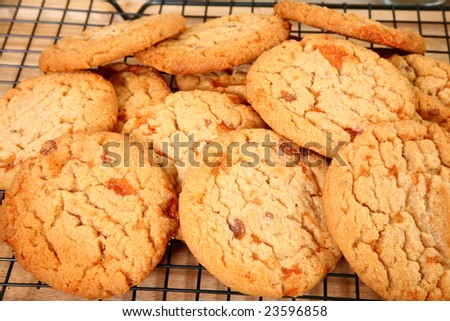 Close-up of cookies with bits of peanut buttery, flakey, brittle, chocolate covered candy bar baked into the cookies.