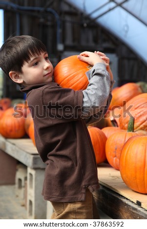 Adorable six year old caucasian boy picking pumpkin at farm.
