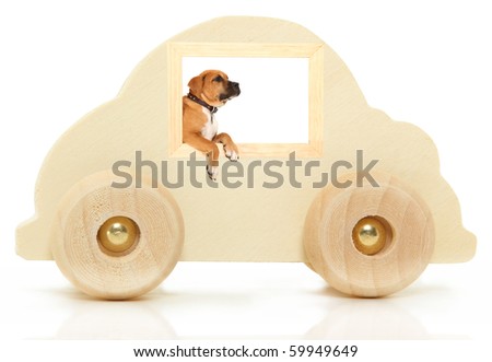 Puppy Driving