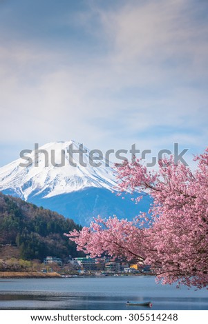 Mountain Fuji in spring ,Cherry blossom Sakura