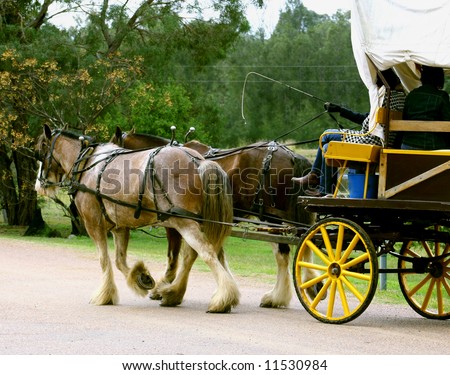 Horse and Wagon ride, Hunter Valley, Australia