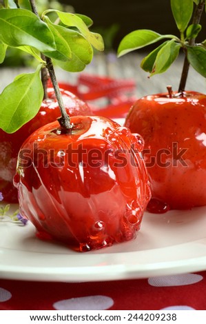 Red Toffee Apples on a White Plate. Selective Focus