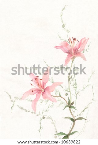 stock photo The hand drawn watercolor of pink lilly flowers
