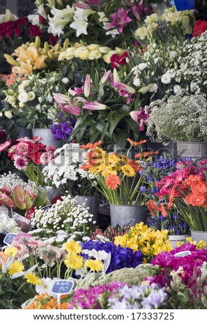 Choice of fresh flowers at an outdoor street market