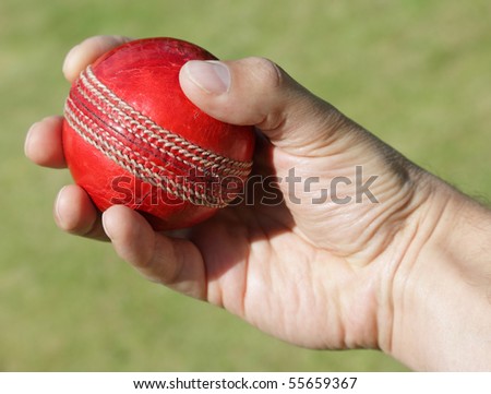 Cricket bowler about to bowl ball against a grass background