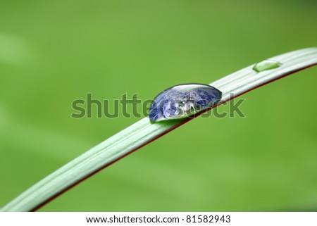 Water drop on a green blade of grass reflecting planet earth