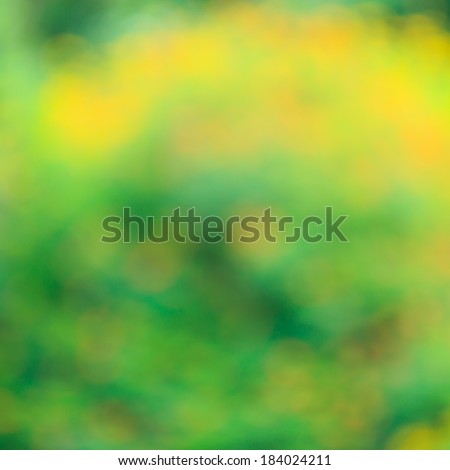 Green and yellow bush background. This is green bush and flower that is blured by camera.