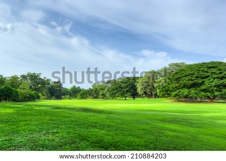 Green nature on public park with blue sky cloud