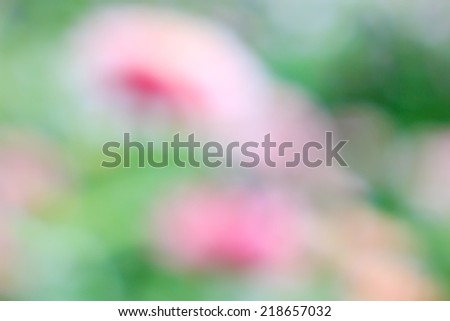 Green and pink flower bush background. This is green bush and flower that is blurred by camera.