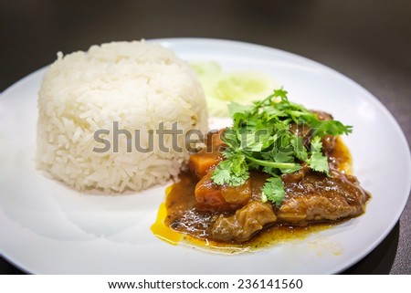 A meal of white rice and stew on a white plate