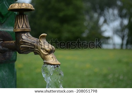 Brass dragon water tap in park with water to enjoy