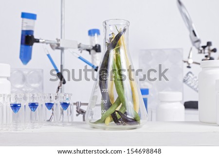 String beans in a beaker sit in a lab with other science equipment.
