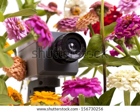 A surveillance camera peeks out from among the flowers.