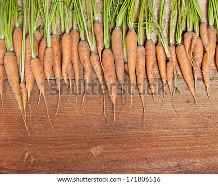 Home grown carrots create a frame for copy and text.