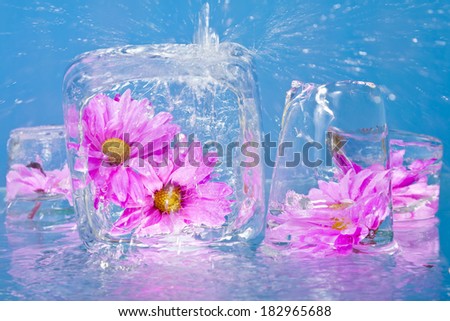Colorful flowers emerging from blocks of ice against a blue background.