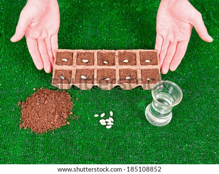 A pair of male caucasian hands shows how to plant seeds in small pots with soil, seeds and water against a grass background.