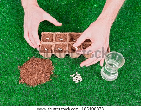 A pair of male caucasian hands shows how to plant seeds in small pots with soil, seeds and water against a grass background.