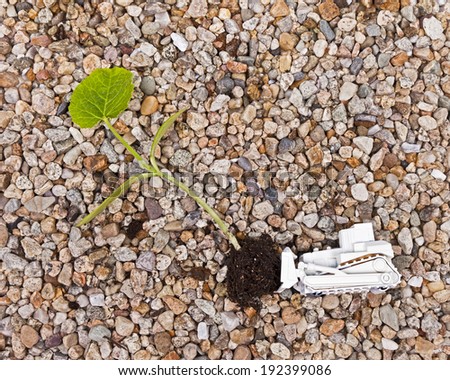 A white bulldozer pushes over a small plant against a gravel background.
