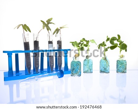 Science Vials with Blue Liquid and plant sprouts and a test tube rack against a white background.