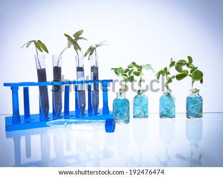 Science Vials with Blue Liquid and plant sprouts and a test tube rack with a blue tinted vignette.