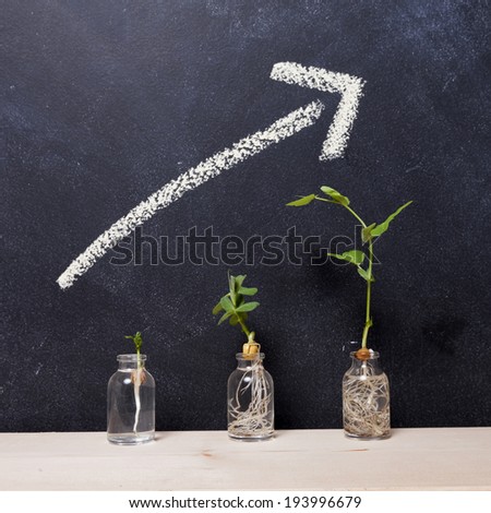 Plant sprouts in vials in front of a chalk board with upwards arrow.