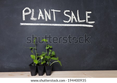 A cell pack of plant sprouts against a chalkboard with the words \'Plant Sale\' written on it.