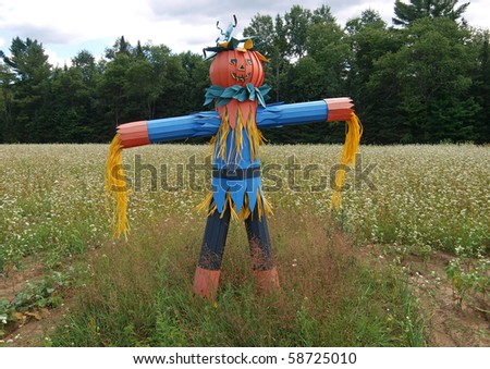 Scarecrow In Field