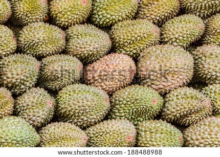 King of fruits, durian texture background in the market., famous fruit in Thailand.