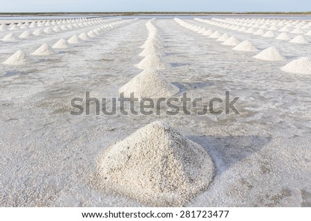Farmers are harvesting salt in the salt fields, south of Thailand.