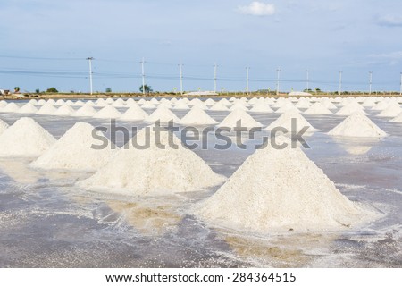 Farmers are harvesting salt in the salt fields, south of Thailand.