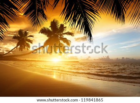 Sunset On The Beach Of Caribbean Sea
