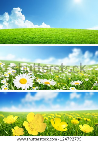 Banners Of Spring Flowers And Grass