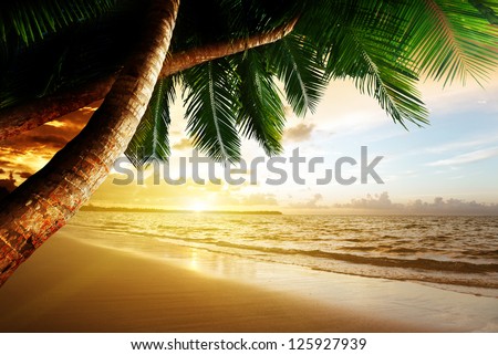 sunrise on Caribbean beach sunrise on Caribbean beach