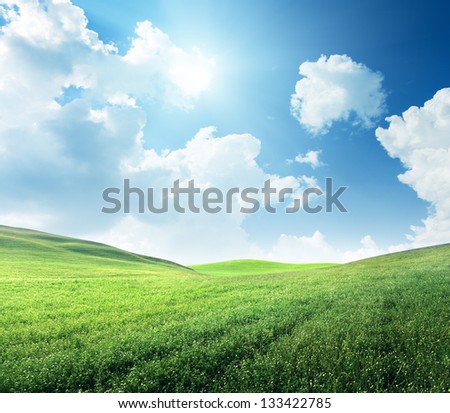 field of spring grass field of spring grass