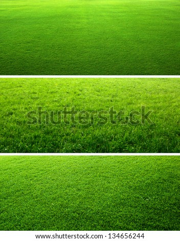 Green Grass Backgrounds