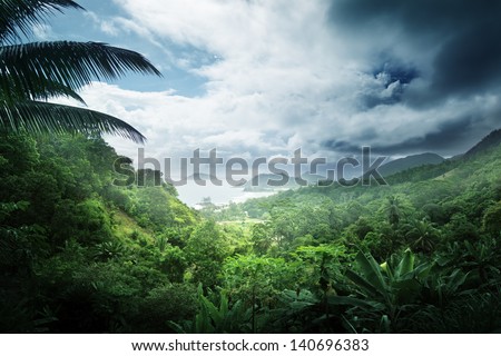 Jungle Of Seychelles Island