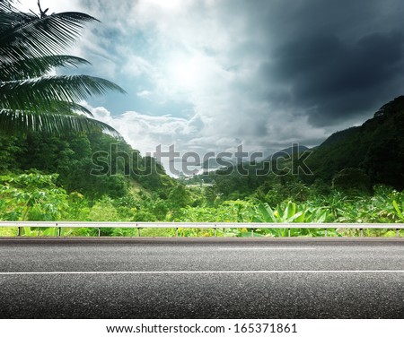 Asphalt Road And Tropical Forest