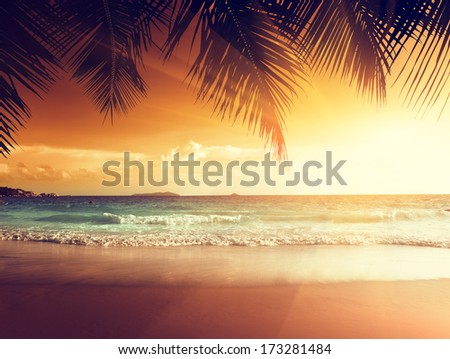 sunset on the beach of caribbean sea sunset on the beach of caribbean sea