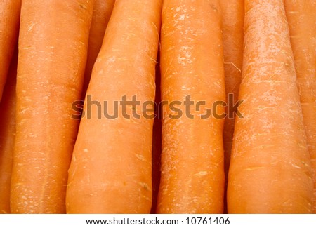 macro of orange carrots